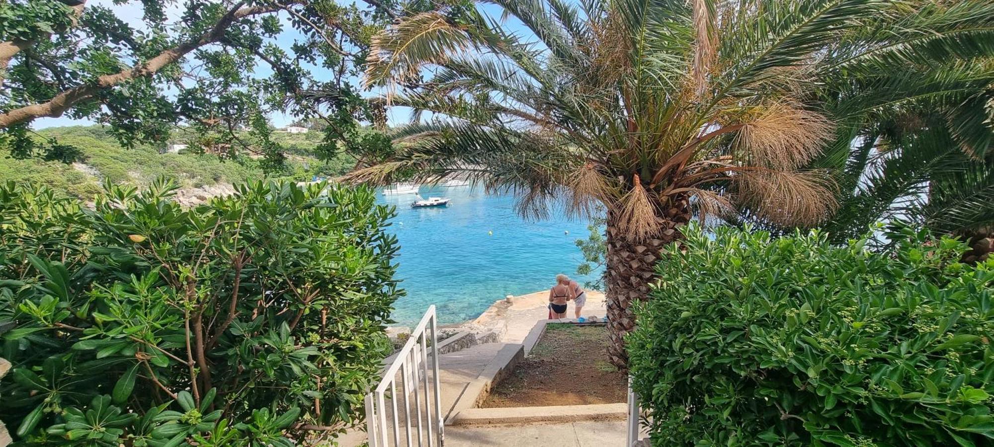 Borovići Apartments Anica Beber מראה חיצוני תמונה