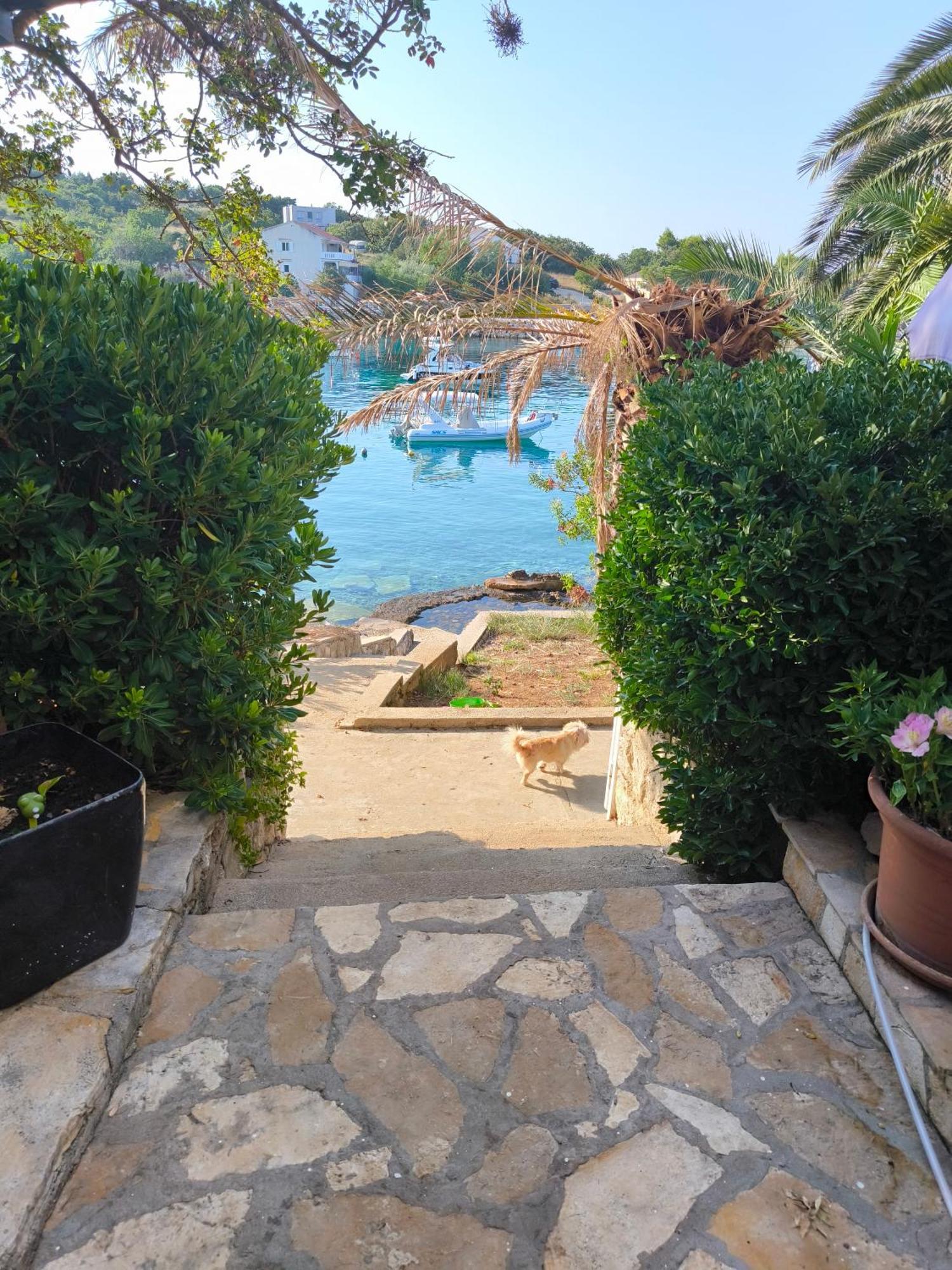 Borovići Apartments Anica Beber מראה חיצוני תמונה
