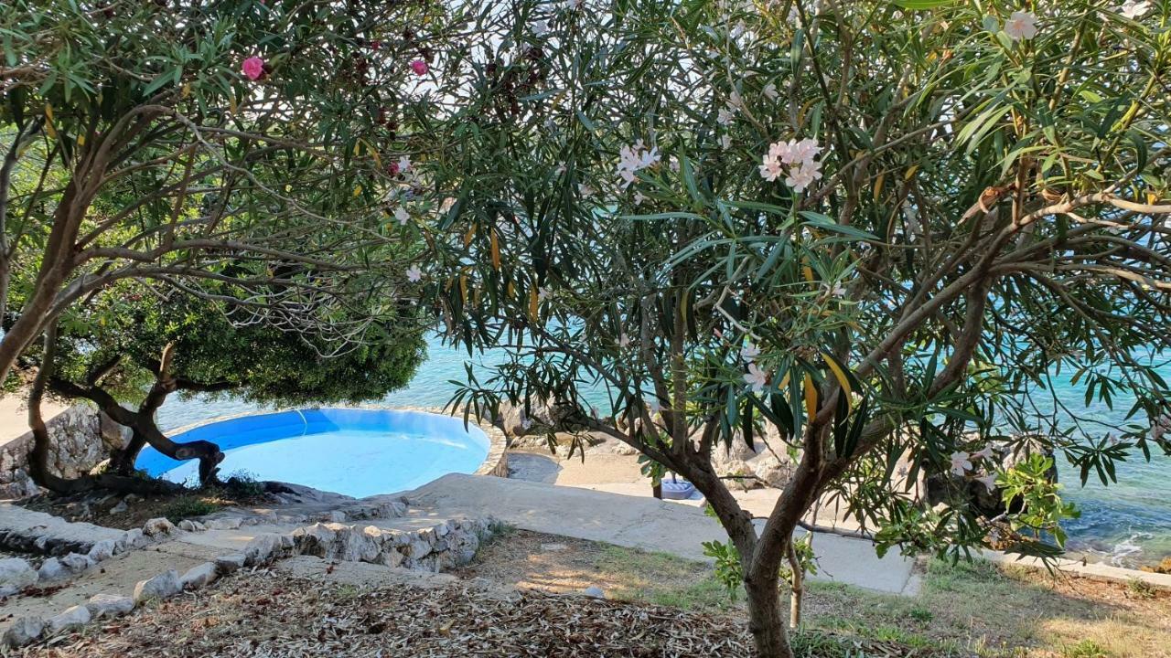 Borovići Apartments Anica Beber מראה חיצוני תמונה