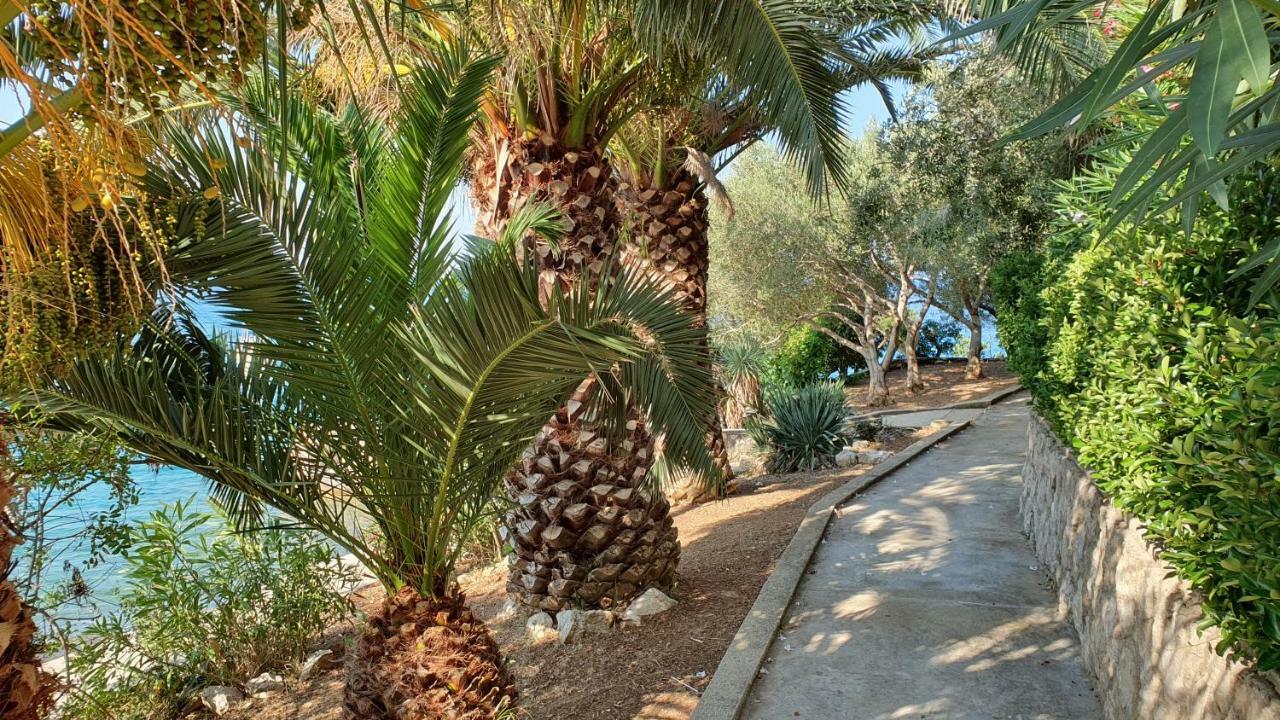 Borovići Apartments Anica Beber מראה חיצוני תמונה