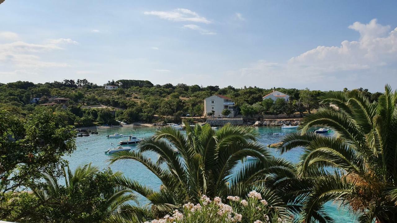 Borovići Apartments Anica Beber מראה חיצוני תמונה